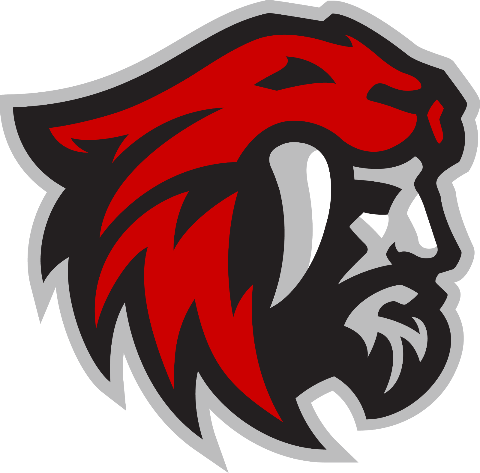 American Fork High School Fundraiser